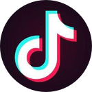 www.vidmateapp.com
